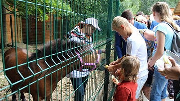 Контактный зоопарк появится в Химках