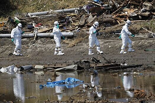 «Непрогнозируемый ужас». Эколог о последствиях сброса воды из «Фукусимы» в океан