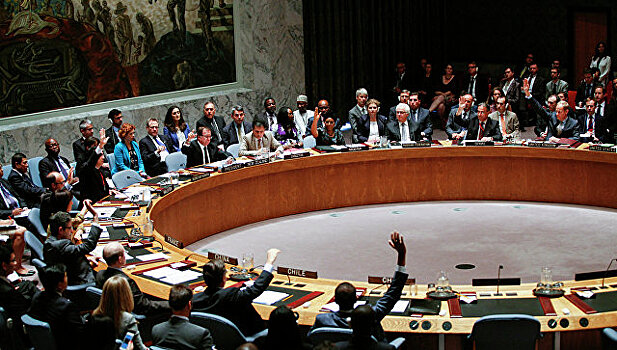 Украина не получила поддержки в Совбезе ООН