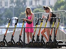 В России предложили установить дорожные знаки для самокатов