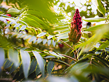 Чем заняться в последние выходные сентября: 12 вариантов для отдыха в Калининградской области