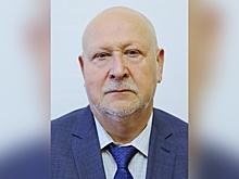 Нижегородский депутат Цопов возглавит больницу в Харцызске