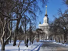 На ВДНХ открылась спортивная выставка «Все на лед!»