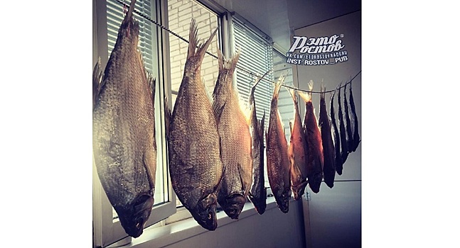 &laquo;Рыбный тюль&raquo;: соцсети восхитило фото под названием &laquo;Донские шторы&raquo;