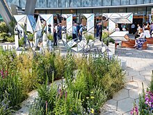 Видеозаписи с конгресса Urban Health 2021 опубликованы на YouTube-канале Московского урбанистического форума