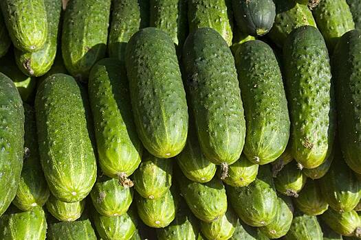 Россиянам назвали причину разгона цен на огурцы и помидоры