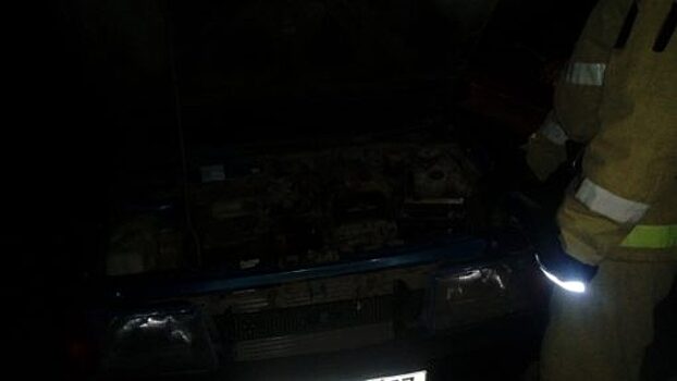 В Спасском-Лутовиново автомобиль протаранил столб