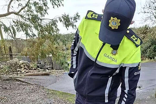 Ирландская полиция пришла к выводу, что бродячий "лев" на самом деле был собакой