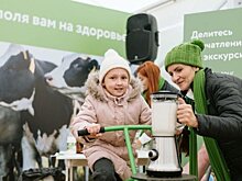 Новый формат молочного агротуризма с выездом запустили в Уфе