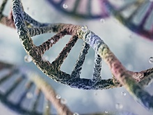 Генетические данные россиян предложили защитить