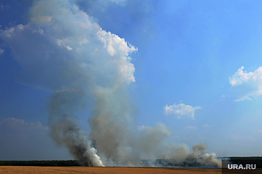 В Пермском крае ландшафтный пожар вплотную подобрался к дачным домам