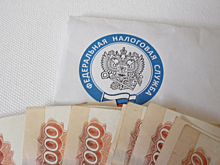 УФНС проведет для саратовцев семинар на тему Единого налогового счета