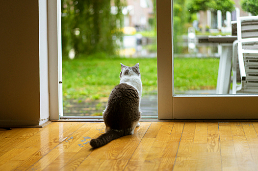 Инхаус или аутсорс? Вечный вопрос