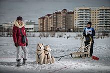Гонки на собачьих упряжках: В Якутске прошли соревнования по ездовому спорту