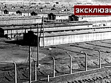 «Знали об освобождении, но подняться не могли»: ветеран об узниках Освенцима
