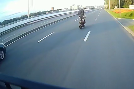 В Петербурге на видео попало, как мотоциклист напугал таксиста, выполняя трюки