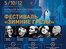 Фестиваль "Зимние Грёзы"