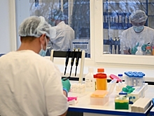 Голикова: Клинические испытания кожного теста на иммунитет к COVID-19 начнутся в декабре