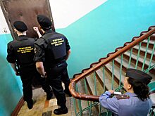 Почти как тараканы. В каких случаях закон запрещает выселять квартирантов