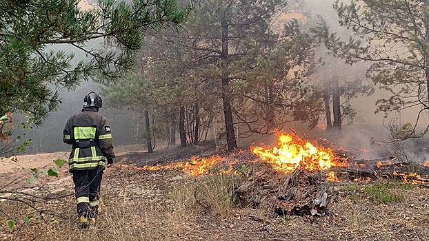 Эколог рассказал, в каких регионах России этим летом ожидаются природные пожары