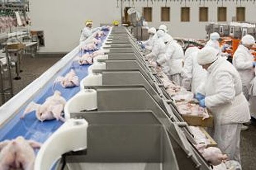 Материалы для строящейся мясохладобойни закупают у курских поставщиков