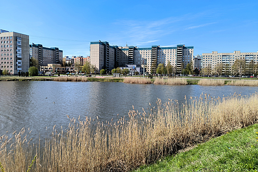 Горожане заявили, что хотят жить рядом с рекой или озером