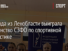 Команда из Ленобласти выиграла Первенство СЗФО по спортивной гимнастике