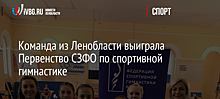 Команда из Ленобласти выиграла Первенство СЗФО по спортивной гимнастике