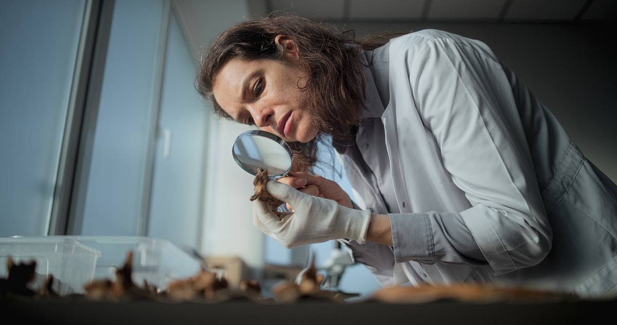 Оставленные 166 миллионов лет назад следы динозавров нашли в известняковом карьере