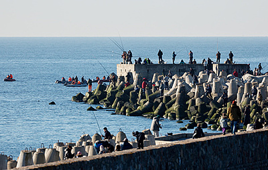 "Ростелеком" оценил ущерб от обрыва кабеля в Балтике в десятки миллионов рублей