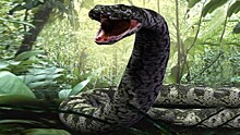 Доисторические змеи, расправлявшиеся с динозаврами