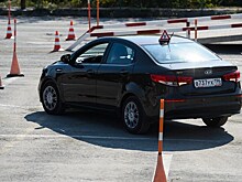 У петербуржца с параноидной шизофренией обнаружились права 11 категорий