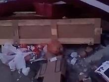 Десятки гробов с личными данными усопших обнаружили на свалке в российском регионе