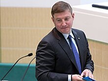 Названо имя претендента на пост вице-спикера Совфеда