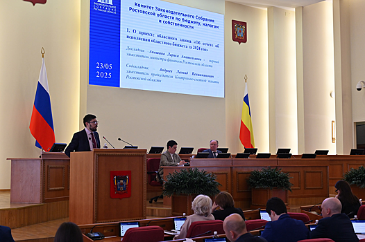 Отчет об исполнении областного бюджета за 2024 год одобрен профильным комитетом