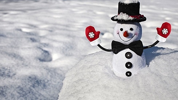 Международный день снеговика отметят в районе Лефортово
