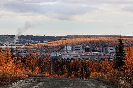 Врачи вынесли вердикт о нахождении Битцевского маньяка в «Полярной сове»