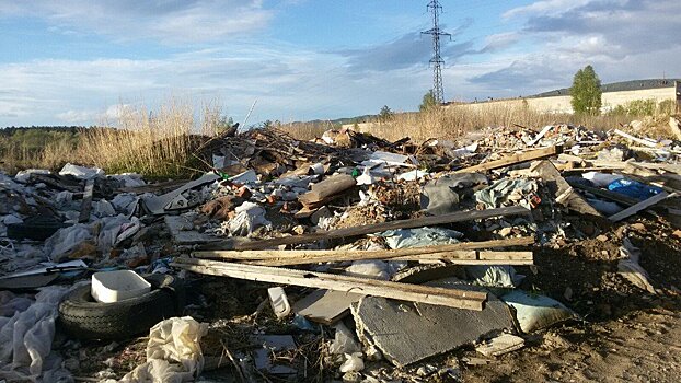 Три километра стихийной свалки в Миассе