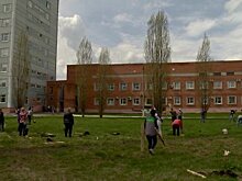 Пензенцы посадили сосны у детского корпуса онкологического диспансера