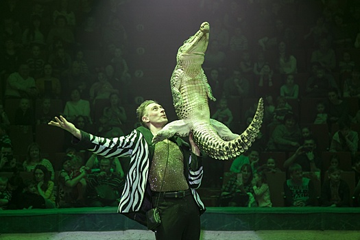 Ямайские танцовщицы и нильские крокодилы: чем удивил челябинцев цирк Никулина