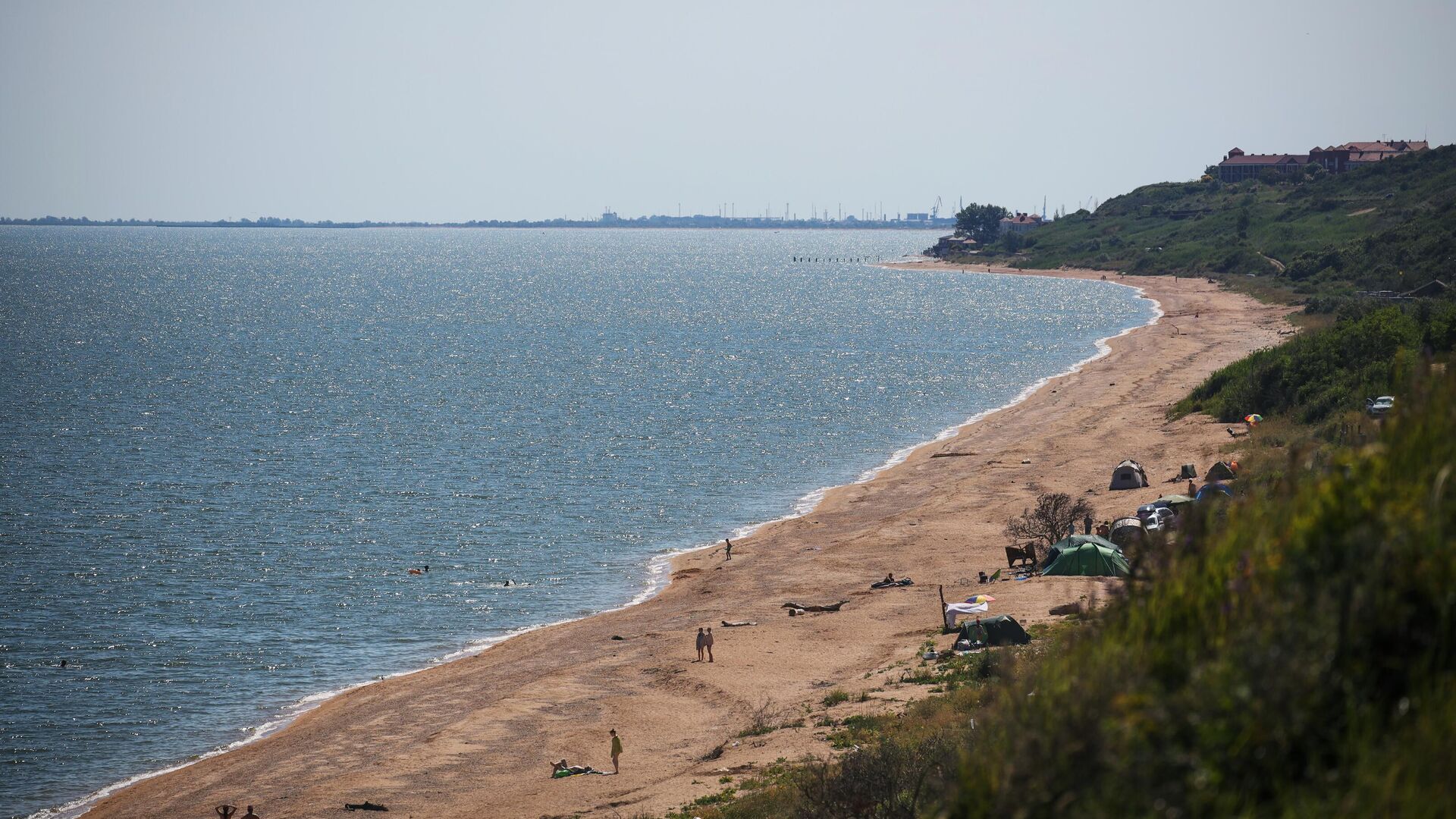 В Азовском море обнаружили 12 новых видов рыб