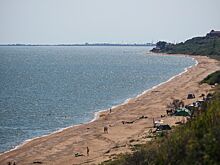 В Азовском море обнаружили 12 новых видов рыб