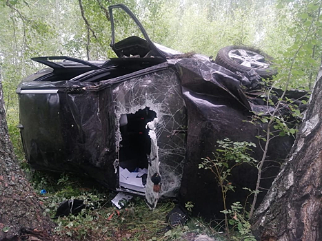 На трассе Челябинск-Новосибирск водитель врезался в дерево и погиб