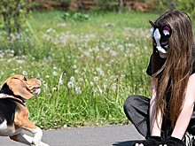 Психолог назвал квадробинг безобидной субкультурой