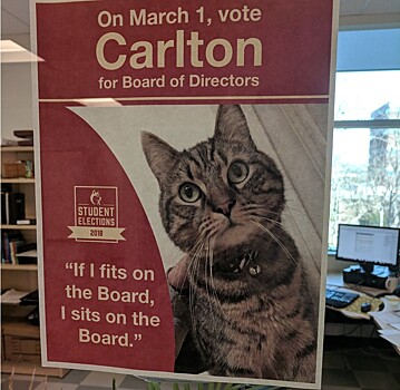 Кот решил захватить власть в канадском университете
