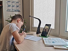 Спортсмены - филантропы и волонтеры. Как изменился петербургский спорт в период карантина