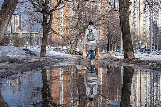 Москвичам предрекли аномально теплую зиму