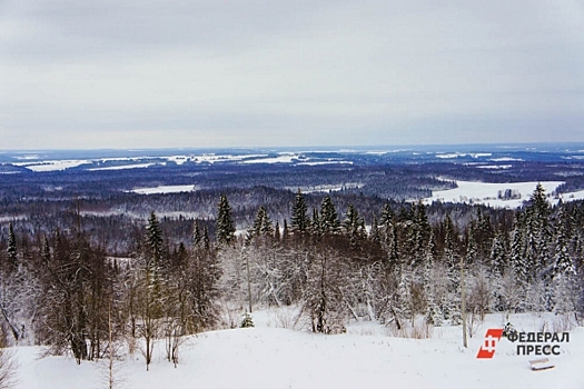 Поиски семьи Усольцевых в Красноярском крае возобновятся весной