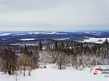 Поиски семьи Усольцевых в Красноярском крае возобновятся весной
