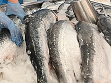 Как распознать свежую рыбу и не ошибиться с выбором